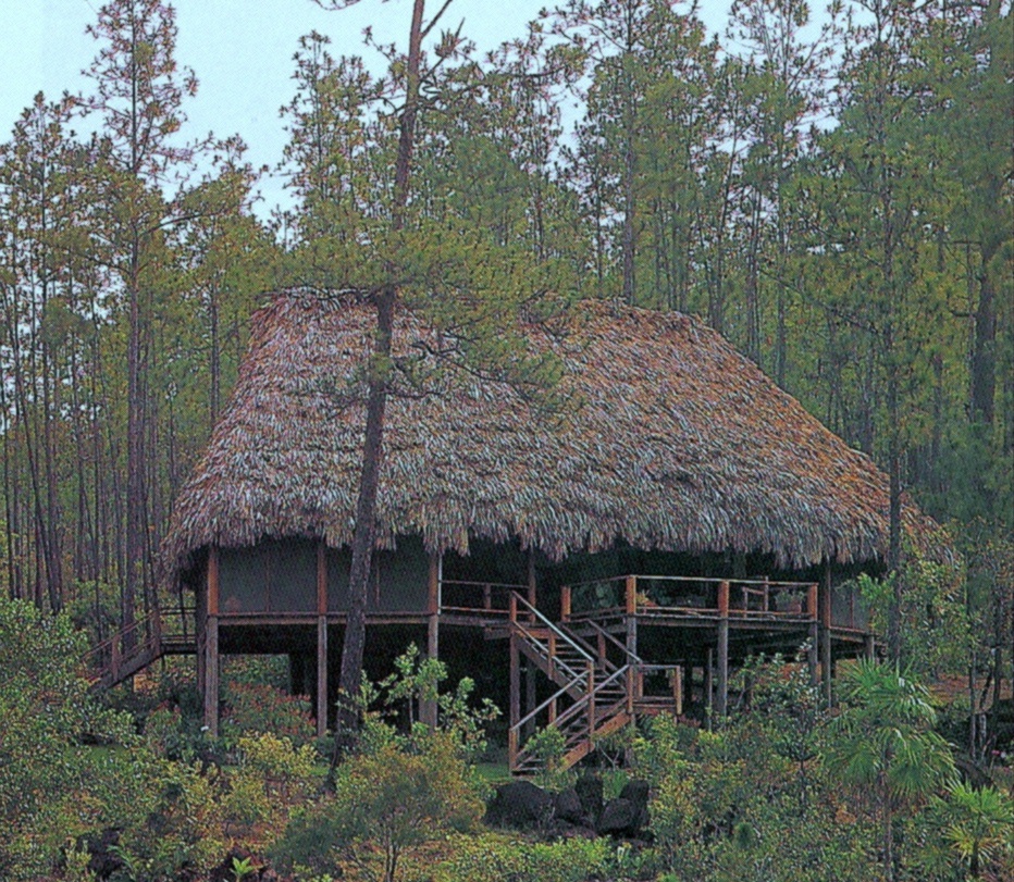 thatch house